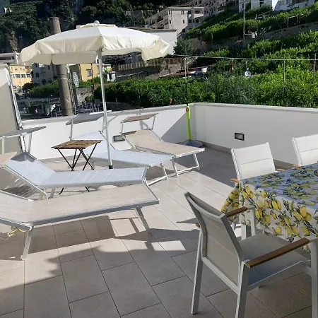 L'albero Della * Minori