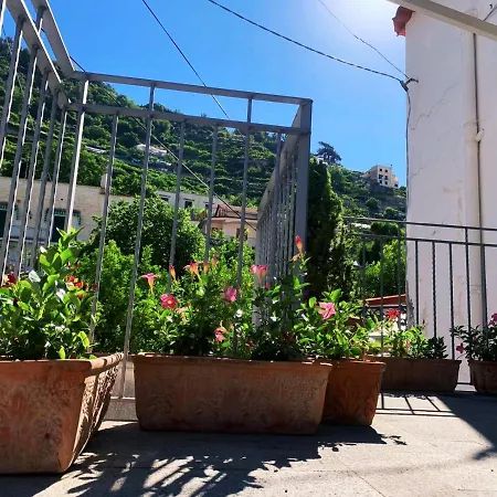 Apartamento L'albero Della *